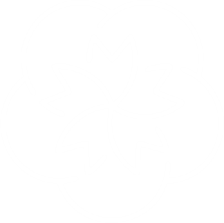 Cerrigan Studios Services